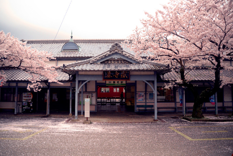 M 桜　養老駅　大正時代